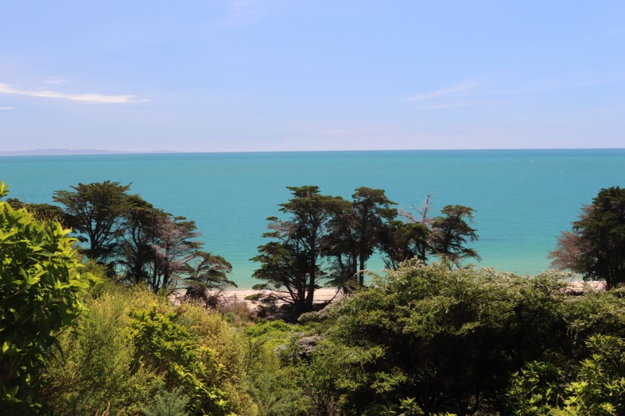 Abel Tasmanpark (dag 1)