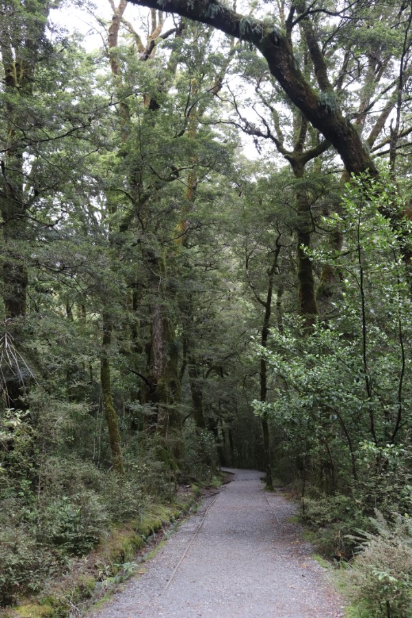 Blue Pools Nieuw-Zeeland
