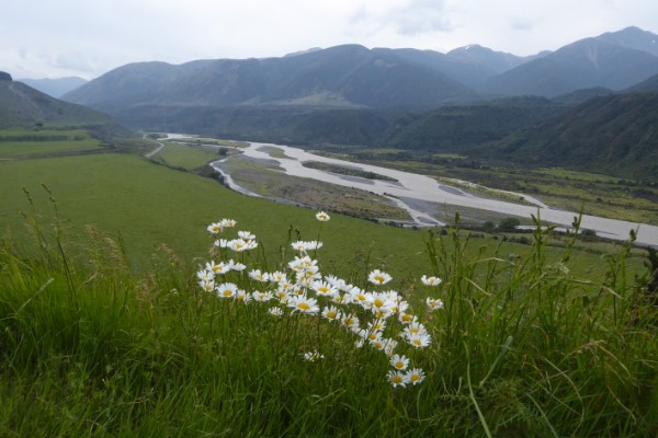 Lewis-pas Nieuw-Zeeland