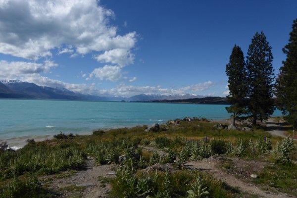 Lake Pukaki Nieuw-Zeeland
