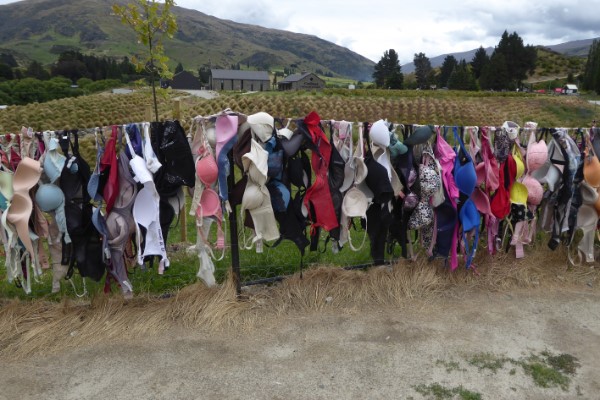 Cardrona Hotel Nieuw-Zeeland