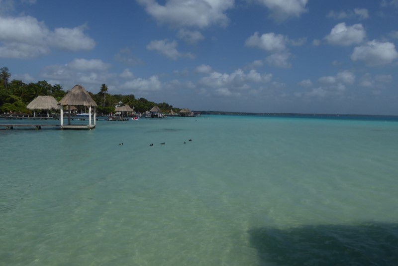 Bacalar
