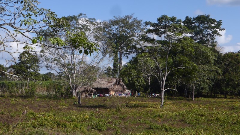 Boerderijtje onderweg