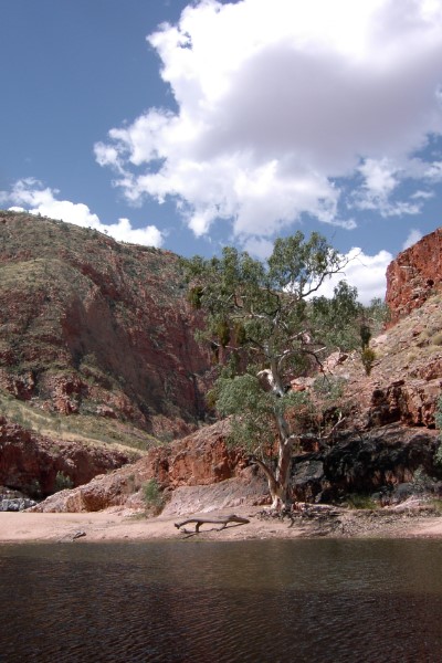Omgeving Ayers Rock Australië