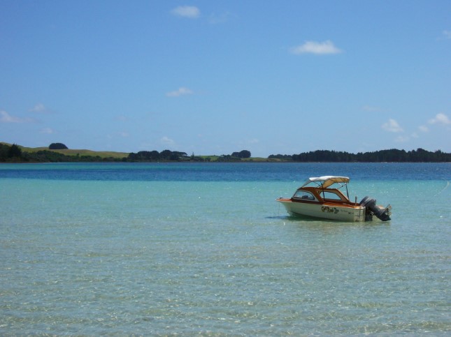 Landschap onderweg, Northland
