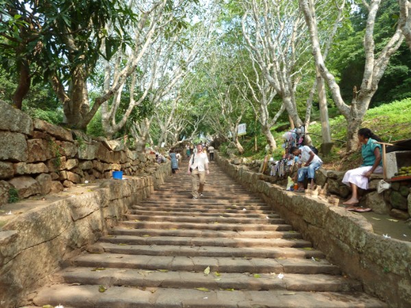 Minithale weg naar de rots Sri Lanka
