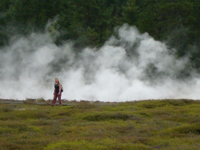 Wairakei Thermal Valley (geiserpark), Taupo